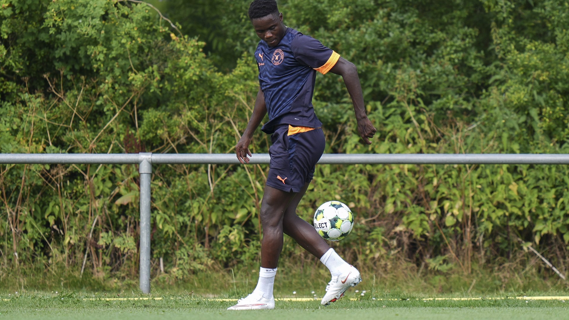 Franculino Dju, Trabzon'da