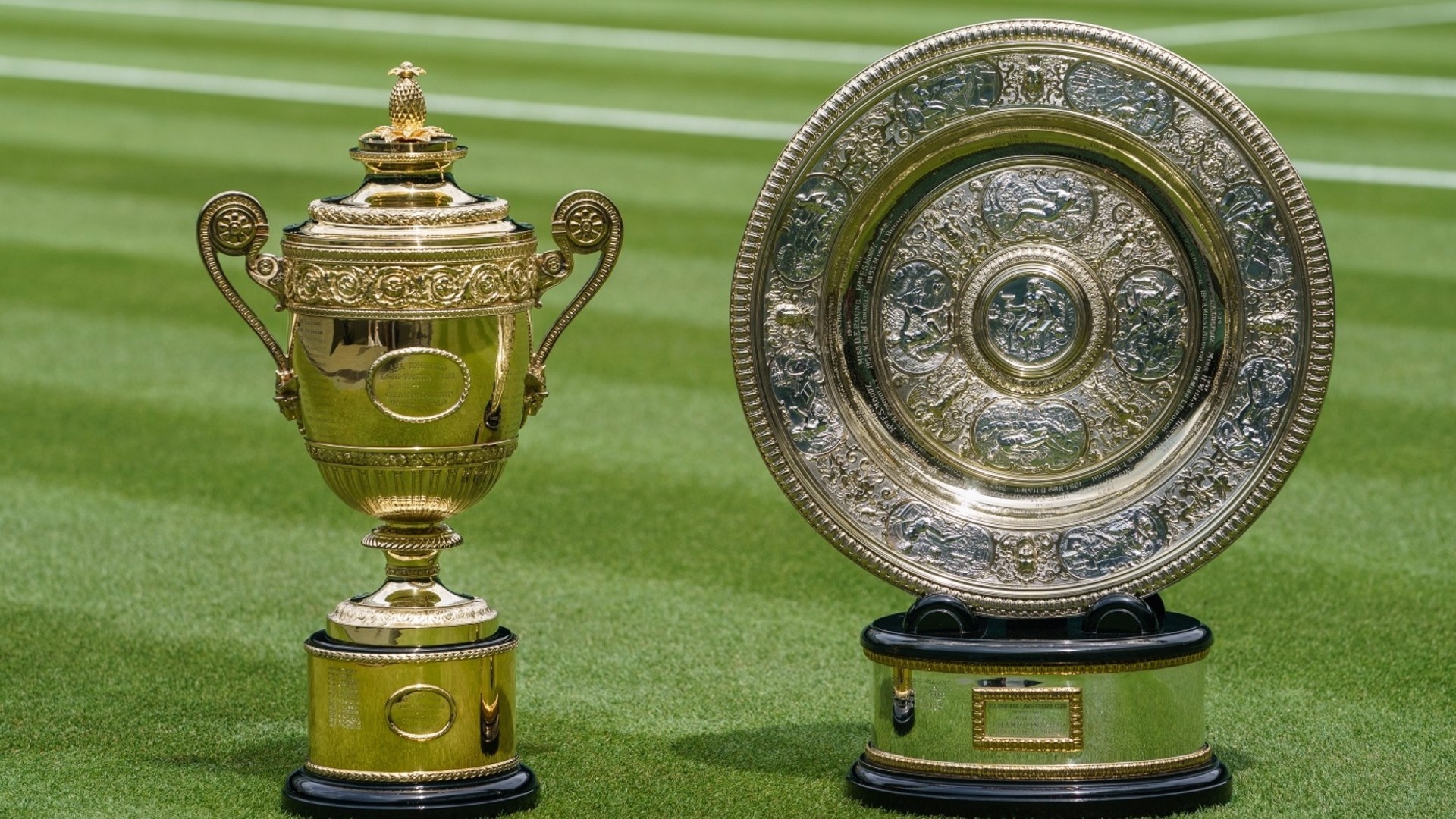 Wimbledon 2024 :  les Français(es), les têtes de série, la chaîne de diffusion..