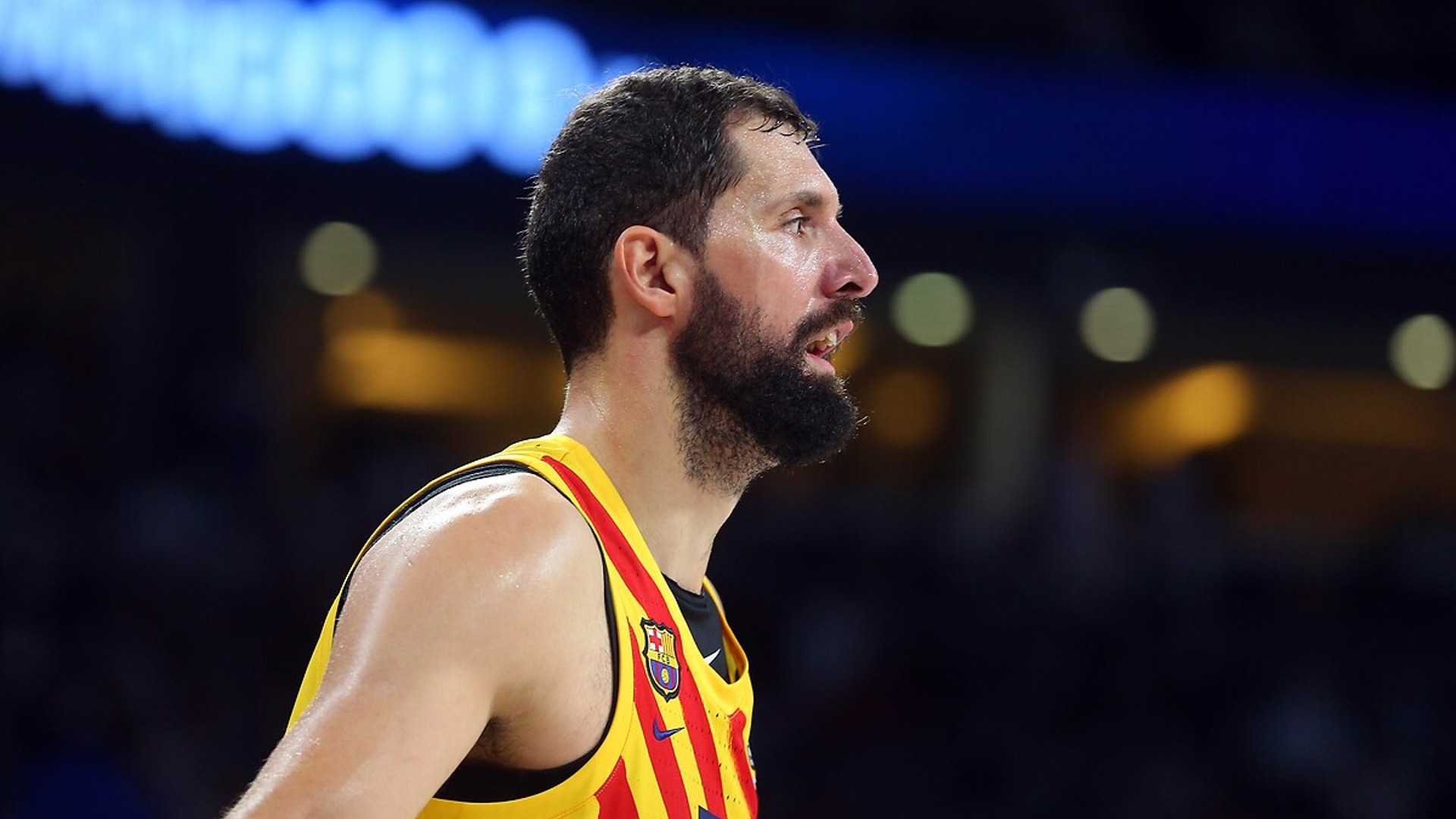 Aralık ayının MVP'si Mirotic