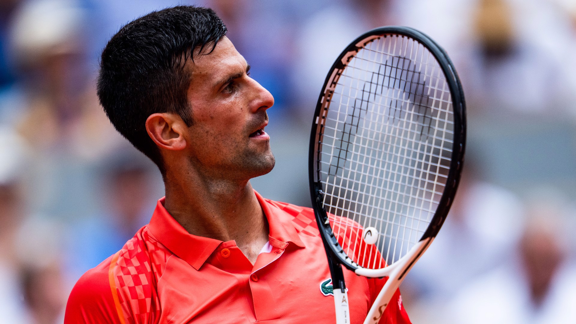 Djokovic remporte Roland Garros