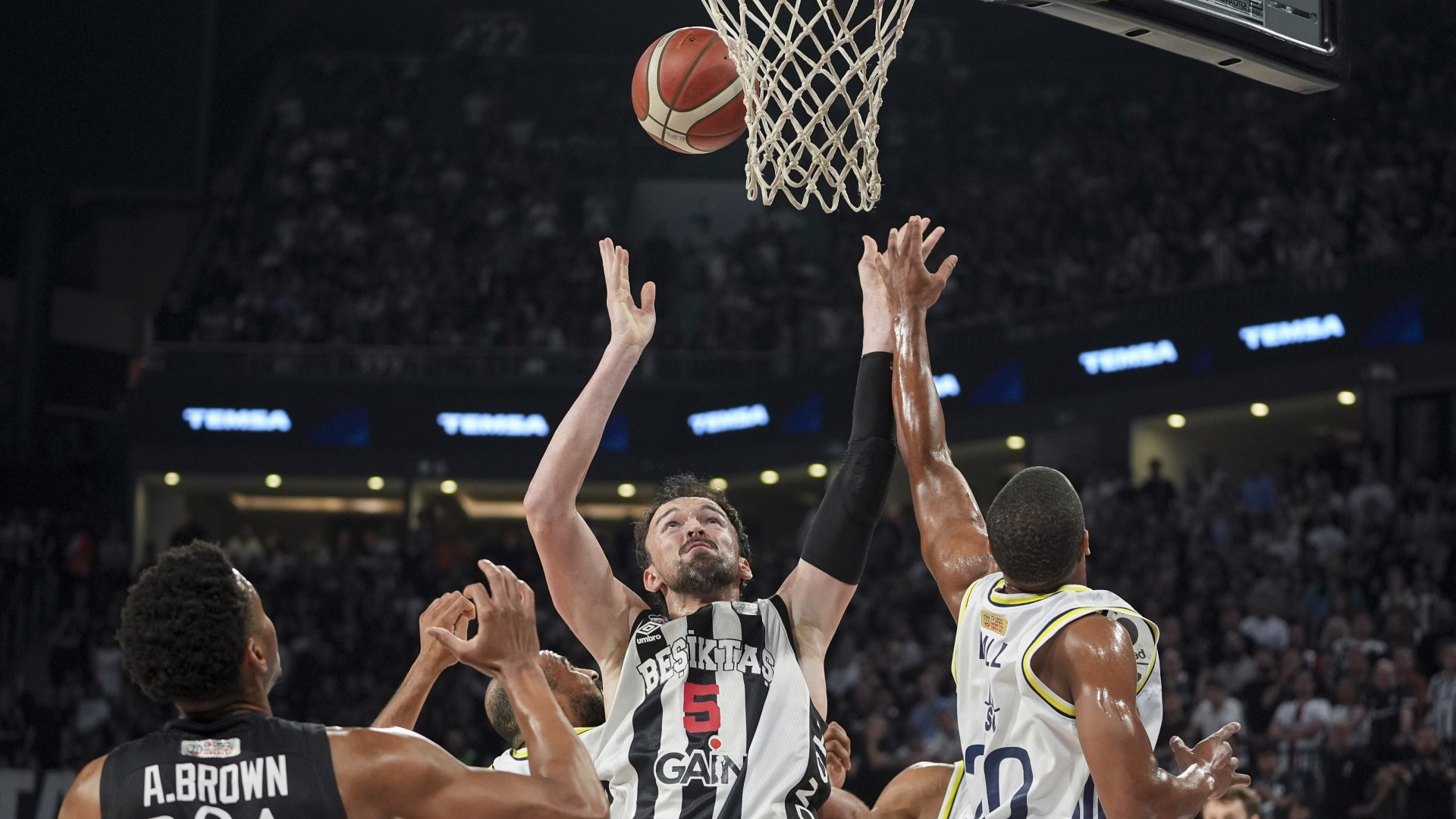 Şampiyon Fenerbahçe Beko