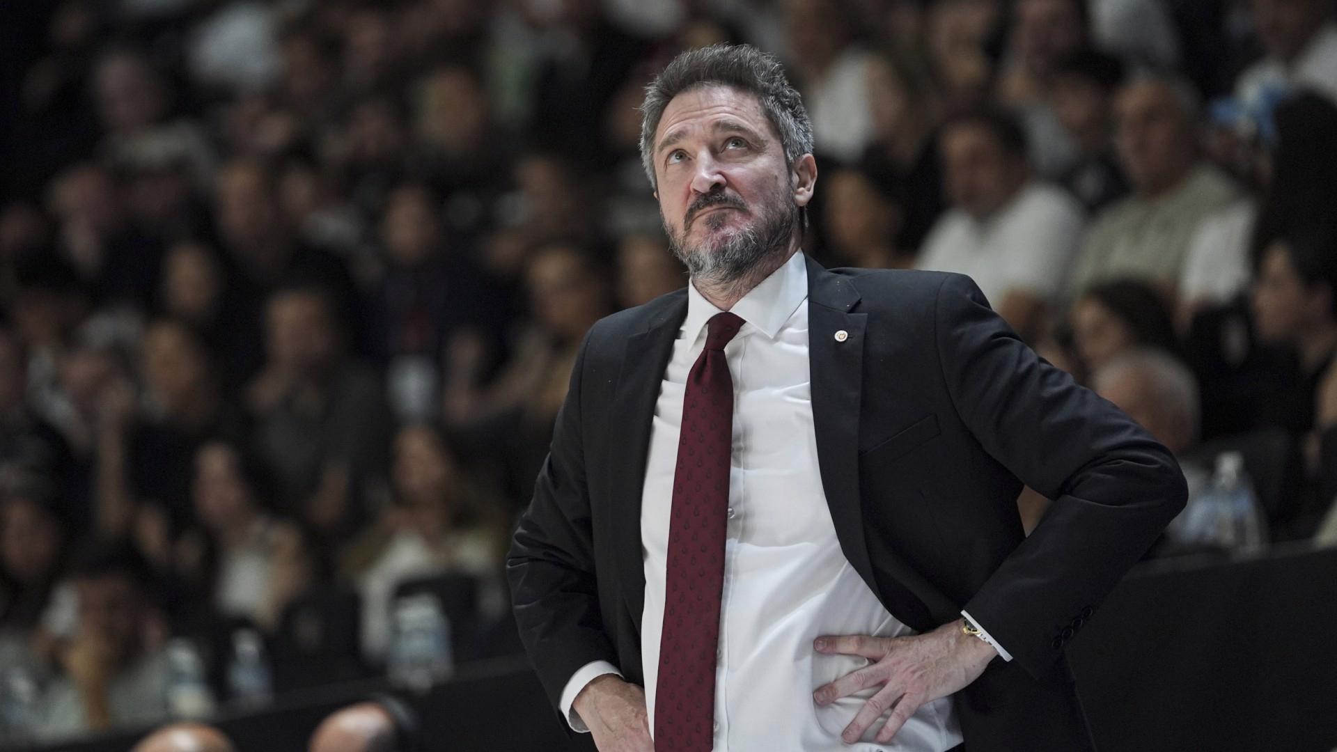 Pozzecco'yla devam kararı