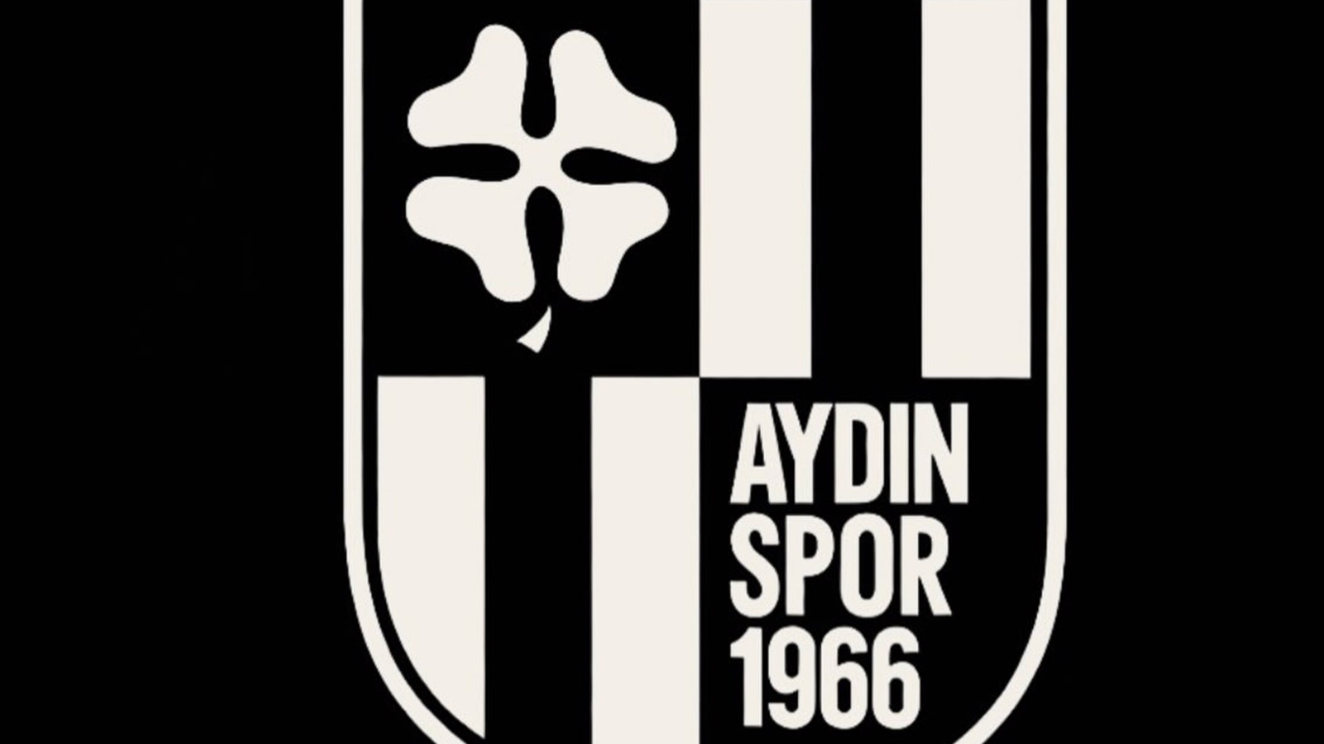 Aydınspor, LinkedIn'den başkan arıyor