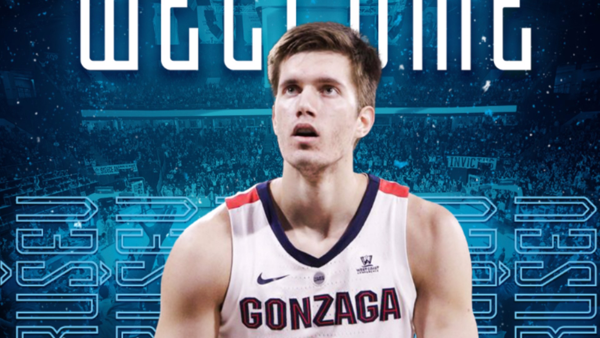 Anadolu Efes'e Sırp pivot