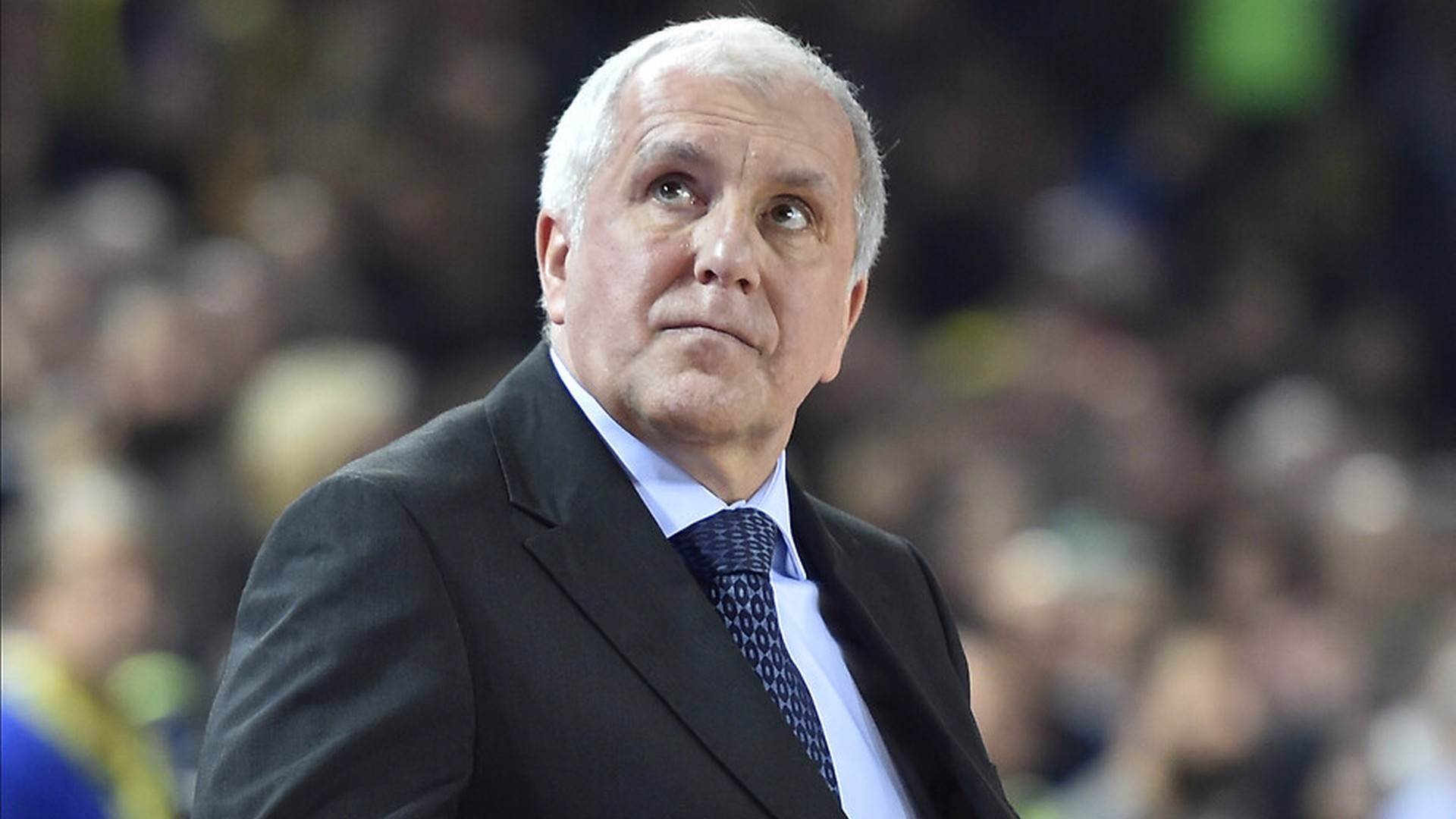 Obradovic, Partizan'a döndü