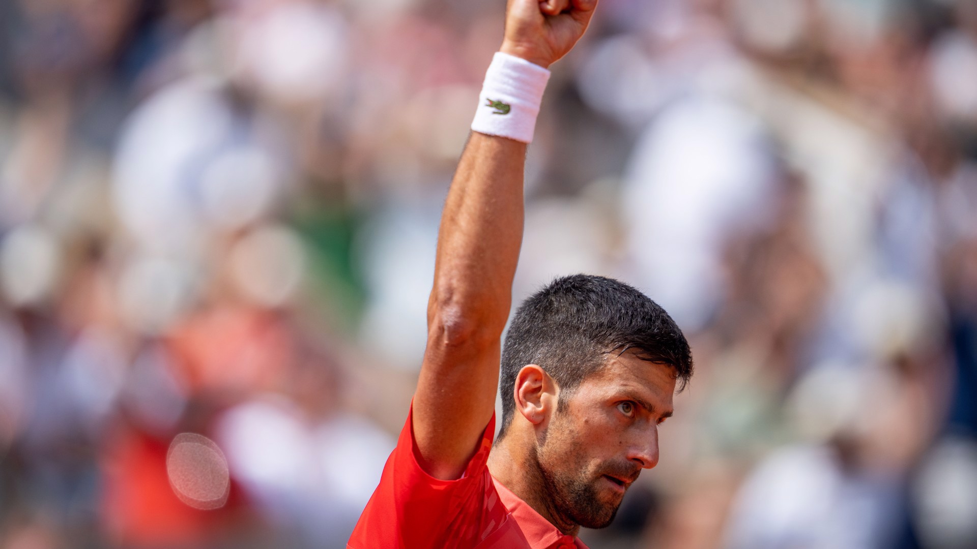 Djokovic bat Alcaraz et file en finale