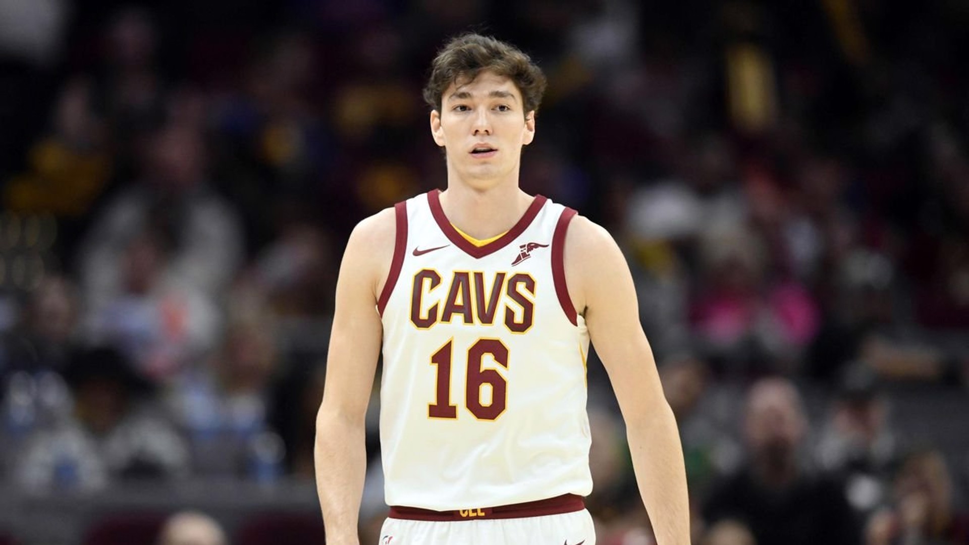 Cedi'den 18 sayı