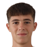 V. Tašovski
