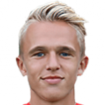 N. Pedersen
