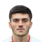 E. Cavcic