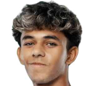 A. Karim