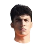 Salih Efe Fidan