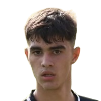 V. Marinković