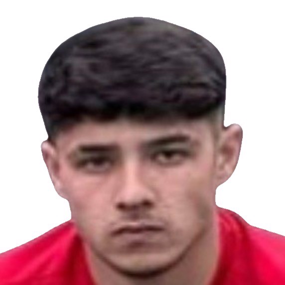 Mehmet Yiğit Ercan