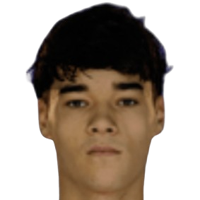 Afonso Assis