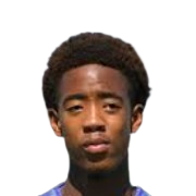 L. Radebe