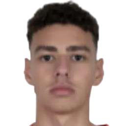Z. Ayoub