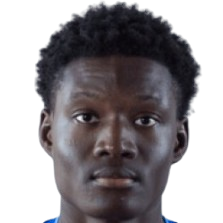 L. N'Dri N'Guessan