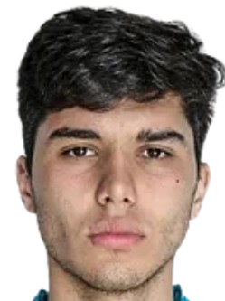 Y. Sitdikov