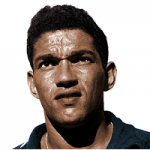 Player: Garrincha