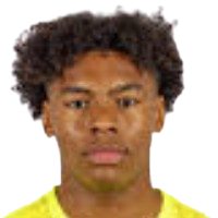 Player: M. Lepaulard-Nibo