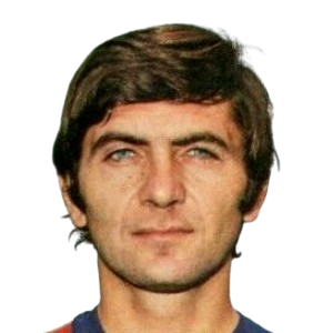 G. Bulgarelli