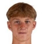 Player: F. Baumgartner