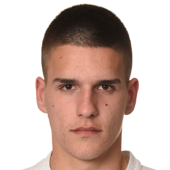 M. Stjepanovic