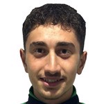 Hamit Erdemir