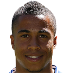 Player: P. van Anholt