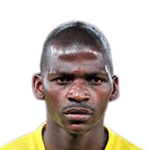 Player: T. Mkhize