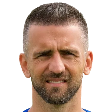 Player: V. Ibišević