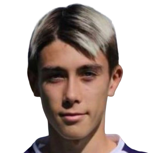L. Mincarelli
