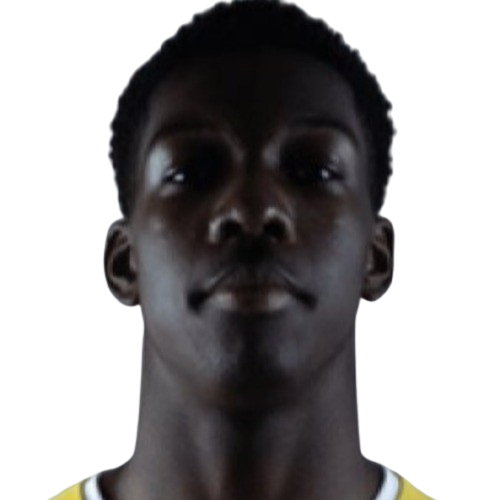 M. Nkoumouck
