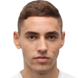 N. Vukovic