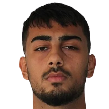 M. Şen