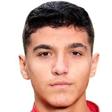 E. Demirtaş