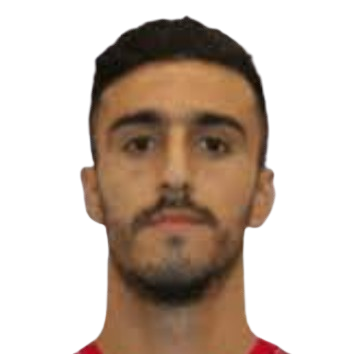 Ameed Mahajneh