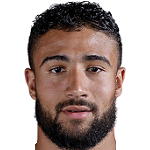 N. Fekir