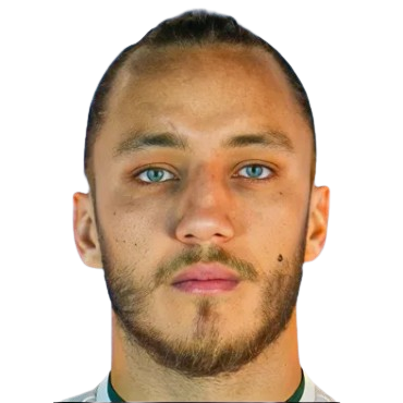 Metehan Mert