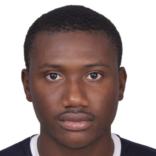 M. Diallo