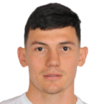J. Ćorluka