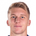 H. Hajdarevic