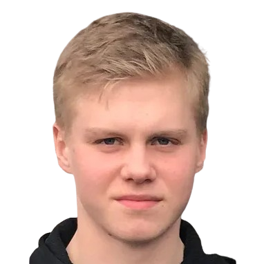 T. Ingolfsson