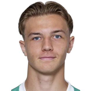 K. Muharemovic