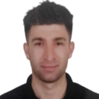 Osman Bağiş