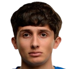 K. Vardanyan