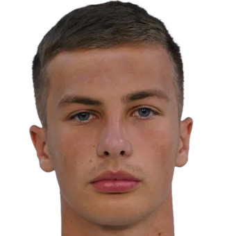 I. Gubarevich