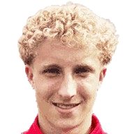 P. van Maarschalkerwaard