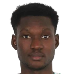 M. Bambara